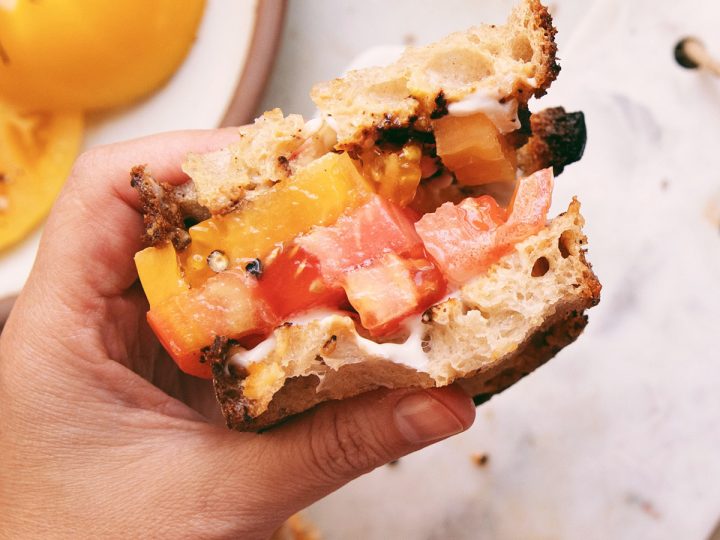 hand holding a miso butter tomato sandwich